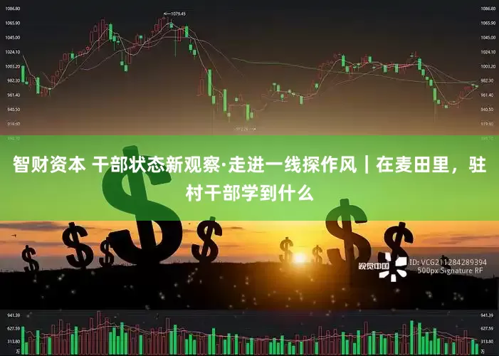 智财资本 干部状态新观察·走进一线探作风｜在麦田里，驻村干部学到什么