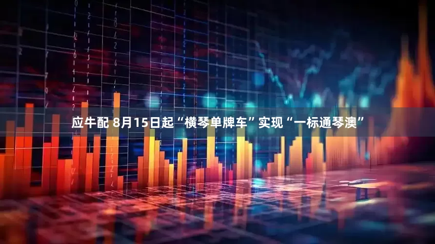 应牛配 8月15日起“横琴单牌车”实现“一标通琴澳”
