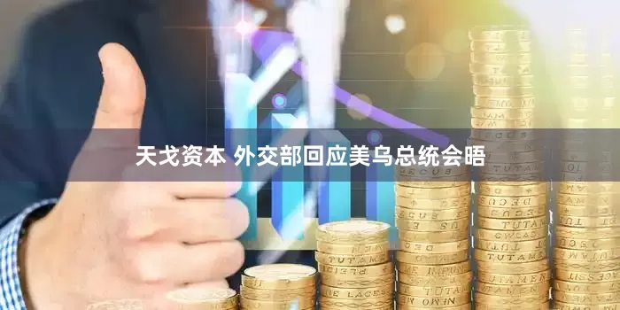 天戈资本 外交部回应美乌总统会晤