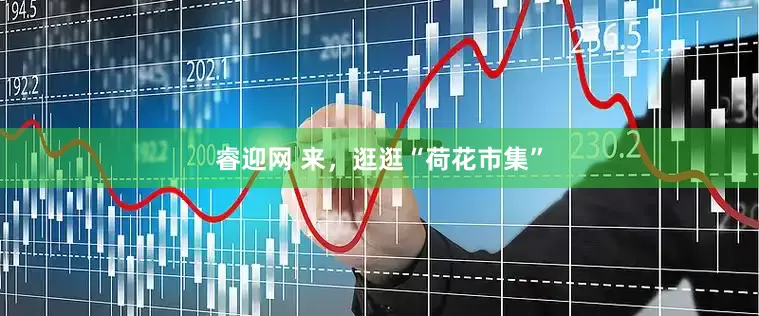 睿迎网 来，逛逛“荷花市集”