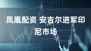 凤凰配资 安吉尔进军印尼市场