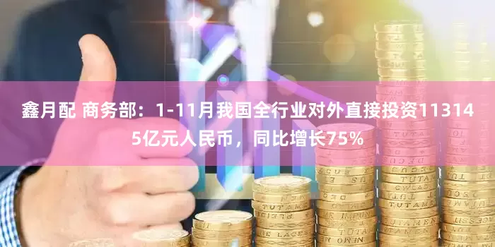 鑫月配 商务部：1-11月我国全行业对外直接投资113145亿元人民币，同比增长75%